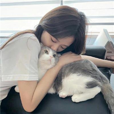 档案风暴